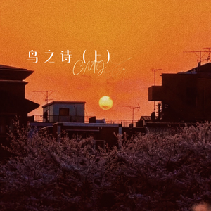 国产麻豆精品观看
