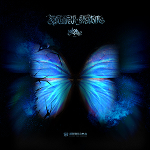 国产麻豆精品观看
