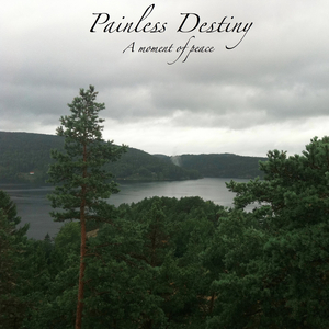 国产麻豆精品观看
